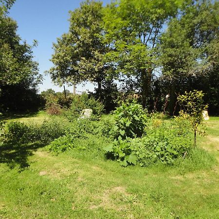 Tranquille Vienne Gites A Chirac Dept Charente Εξωτερικό φωτογραφία