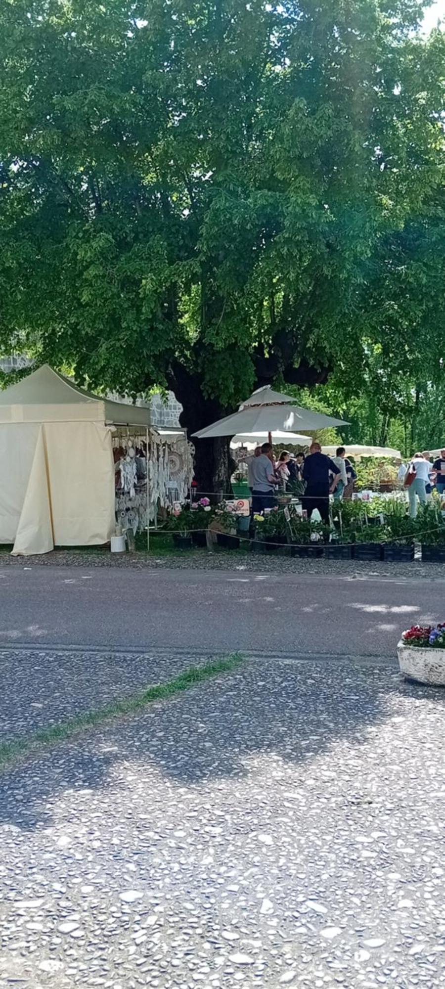 Tranquille Vienne Gites A Chirac Dept Charente Εξωτερικό φωτογραφία